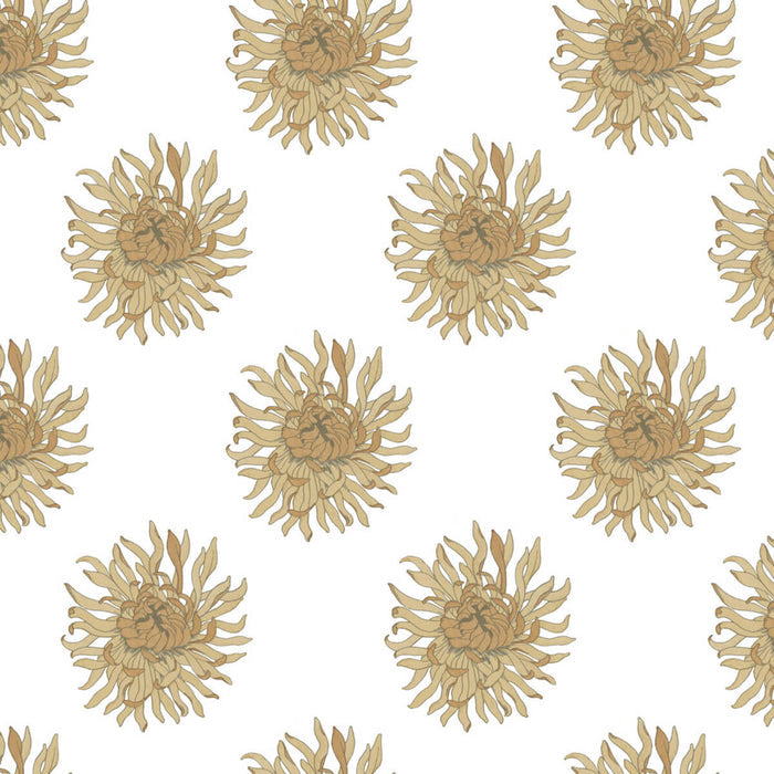 Anthemum Amadeus Wallpaper