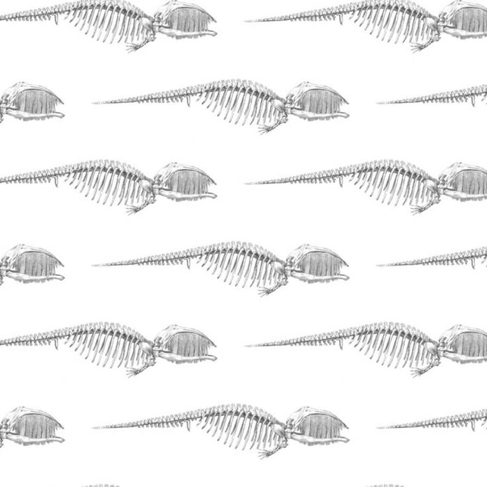 Bruce Men In Black Wallpaper