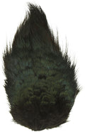 Ringneck Pheasant Rump Patch