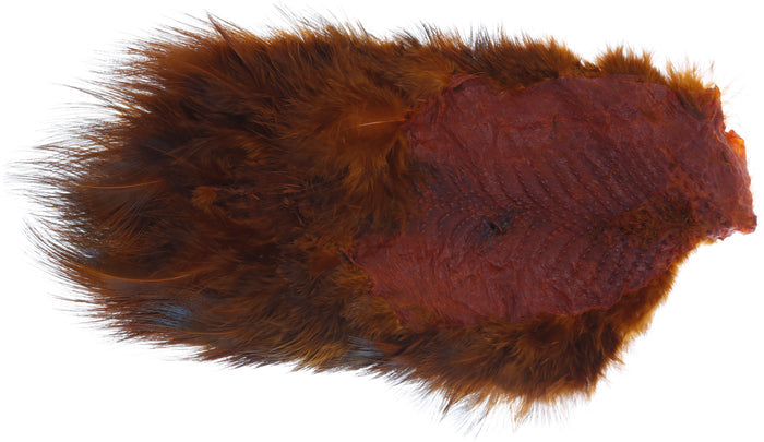 Ringneck Pheasant Rump Patch